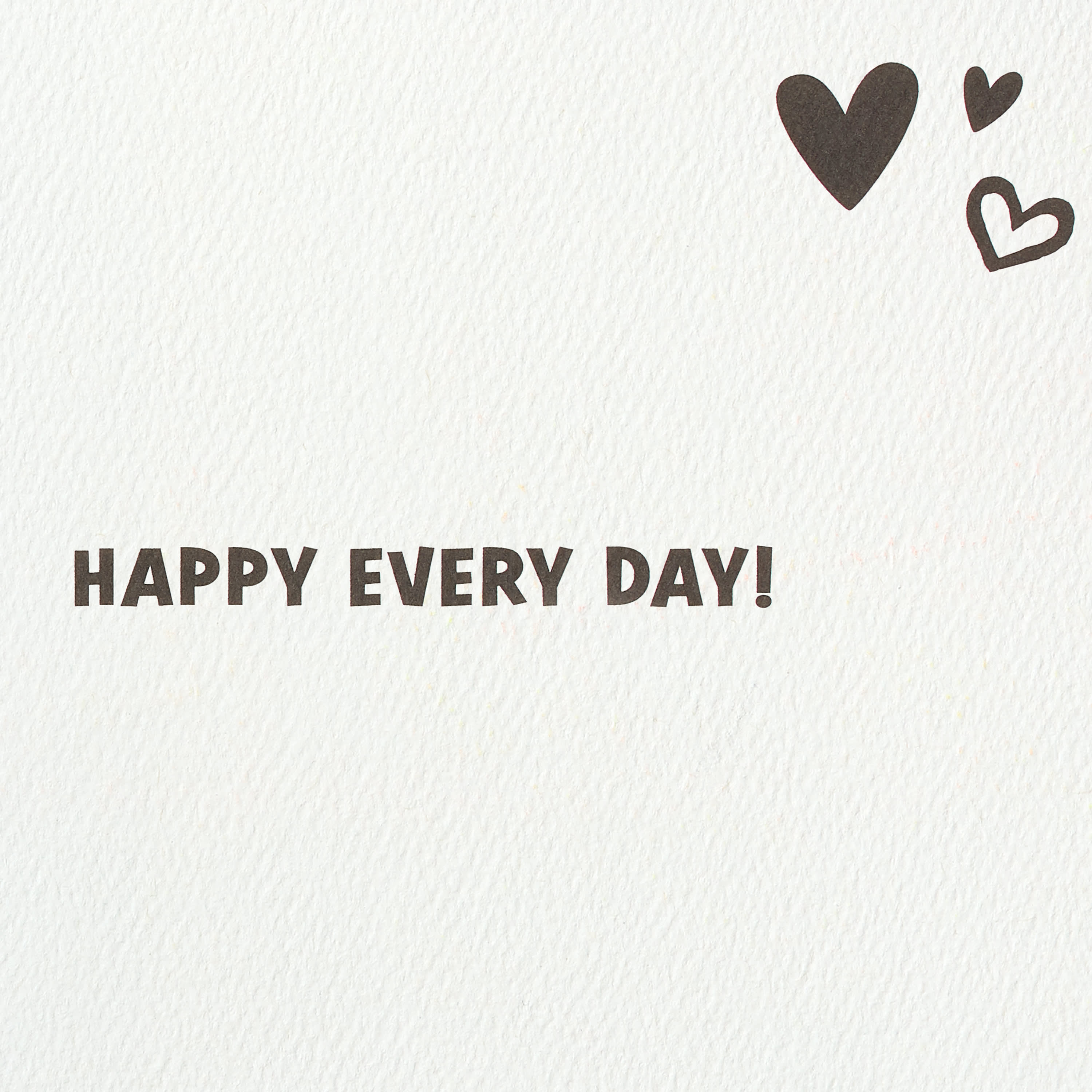 Puppies Valentine's Day Cards, 6-Count image