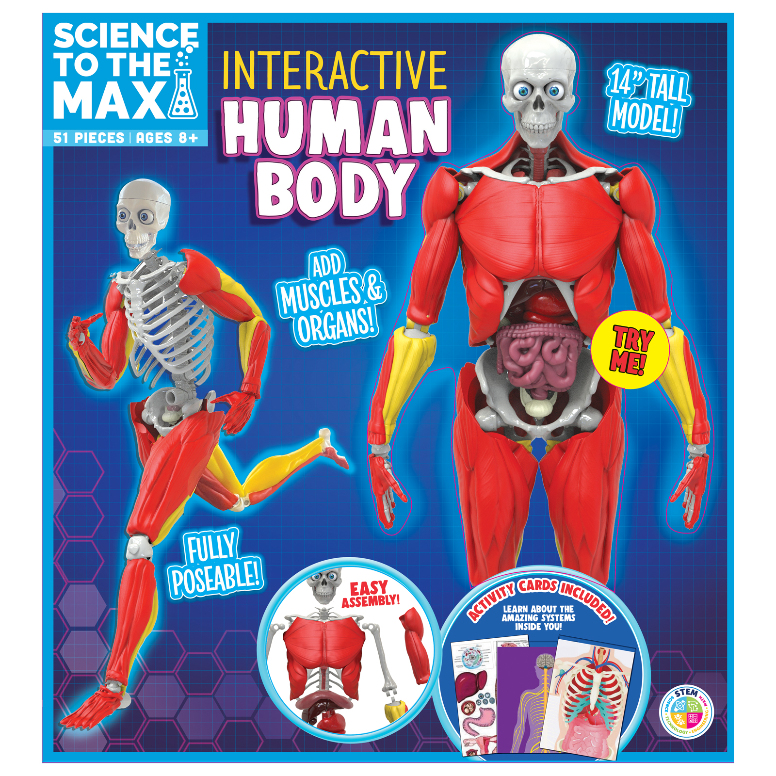 Science to the Max Interactive Human Body