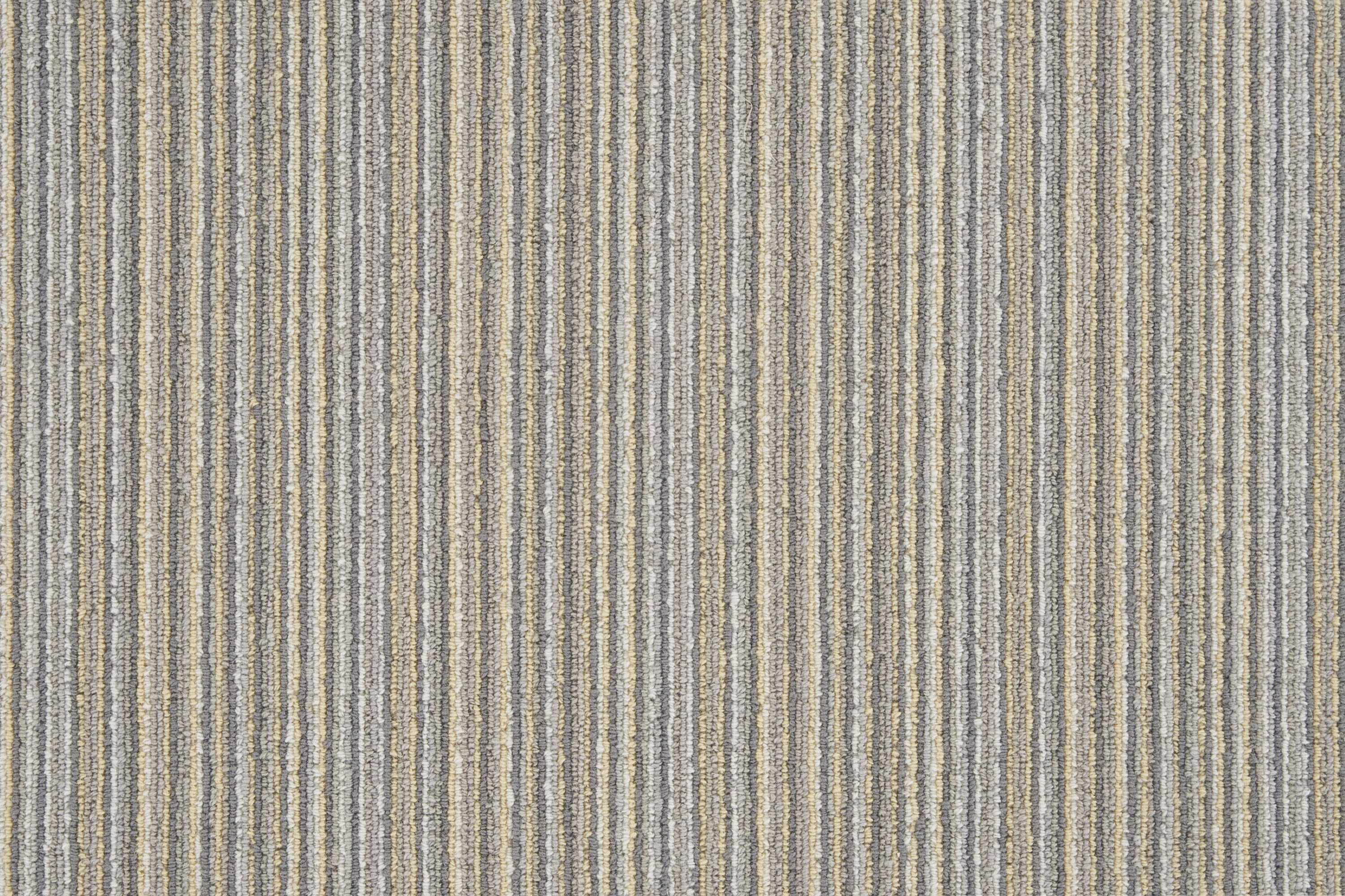 color-rug1