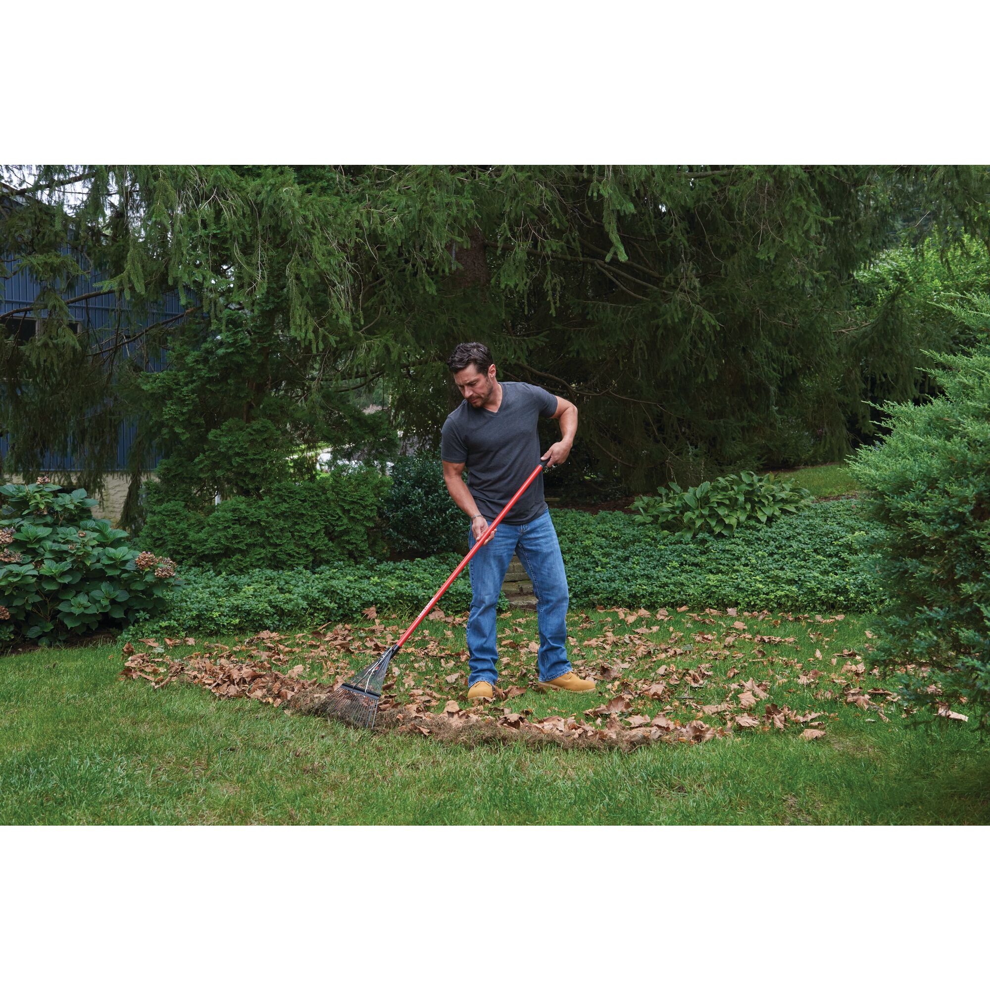 24 inch tine fiberglass handle lawn rake being used by a person.