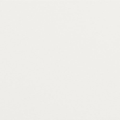 Off-white, lightly textured paper filling the frame; lying flat and evenly lit; subtle horizontal fiber patterns visible against a neutral background, with no other objects or shadows.