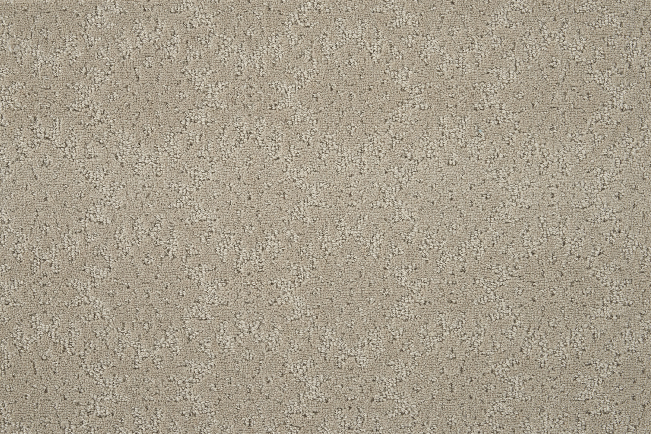 color-rug1