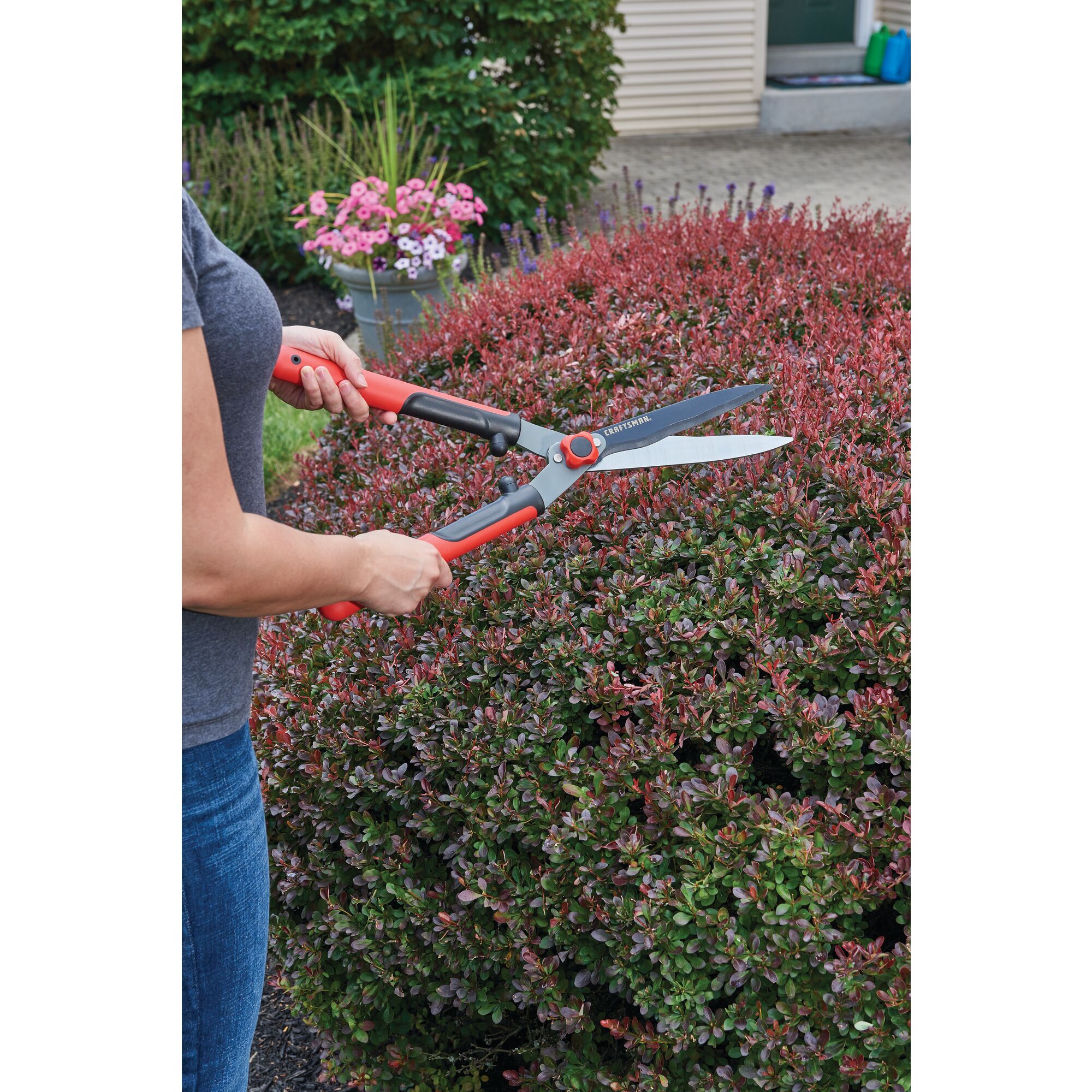 Hedge shears being used by a person to trim hedge.