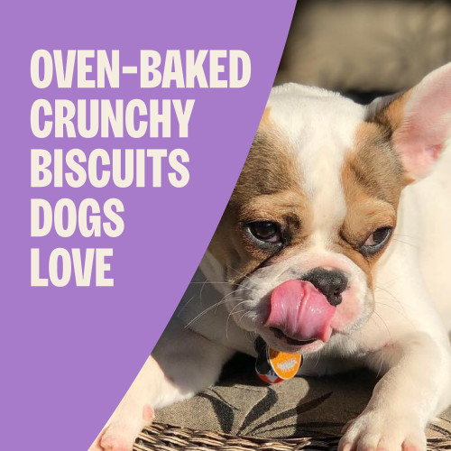 The benefits of Old Mother Hubbard BITZ Assorted Mix (Chicken, Liver & Vegetables)