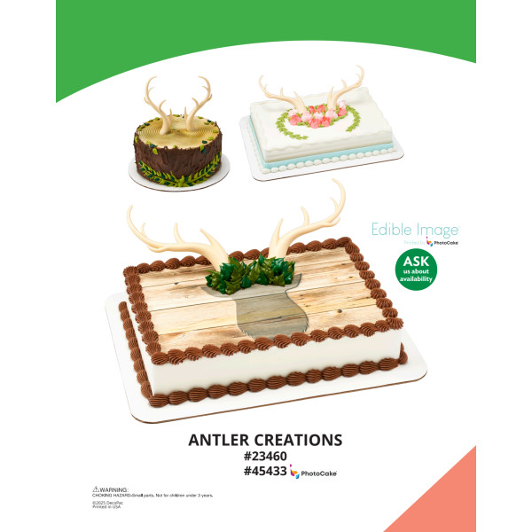 Antler Creations The Magic of Cakes® PhotoCake® Enhanced Background and Icing Page