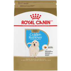 golden retriever puppy dog food