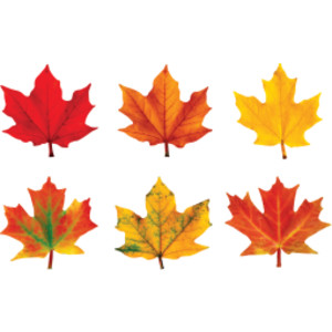 Maple Leaves Classic Accents&reg; Variety Pack, 36 ct
