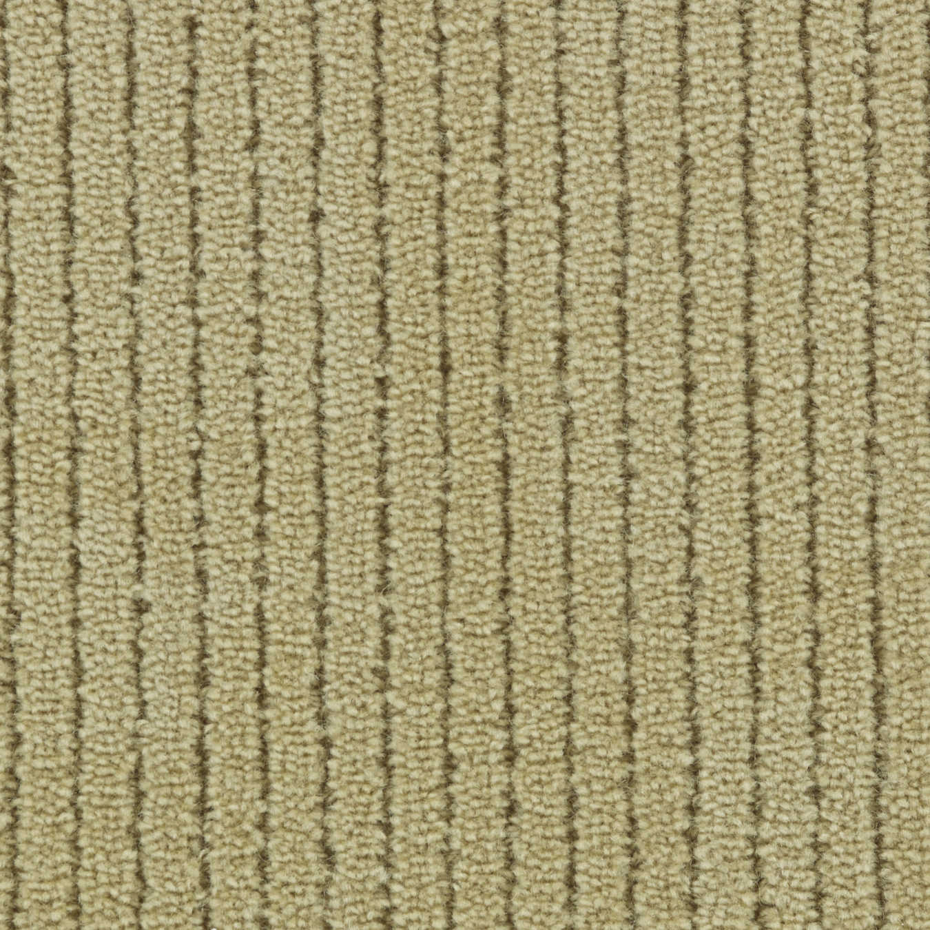 color-rug1