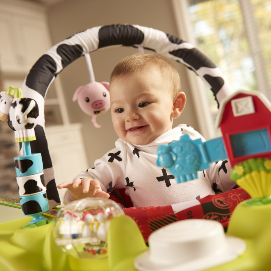 Playful Pastures Bouncing Activity Saucer