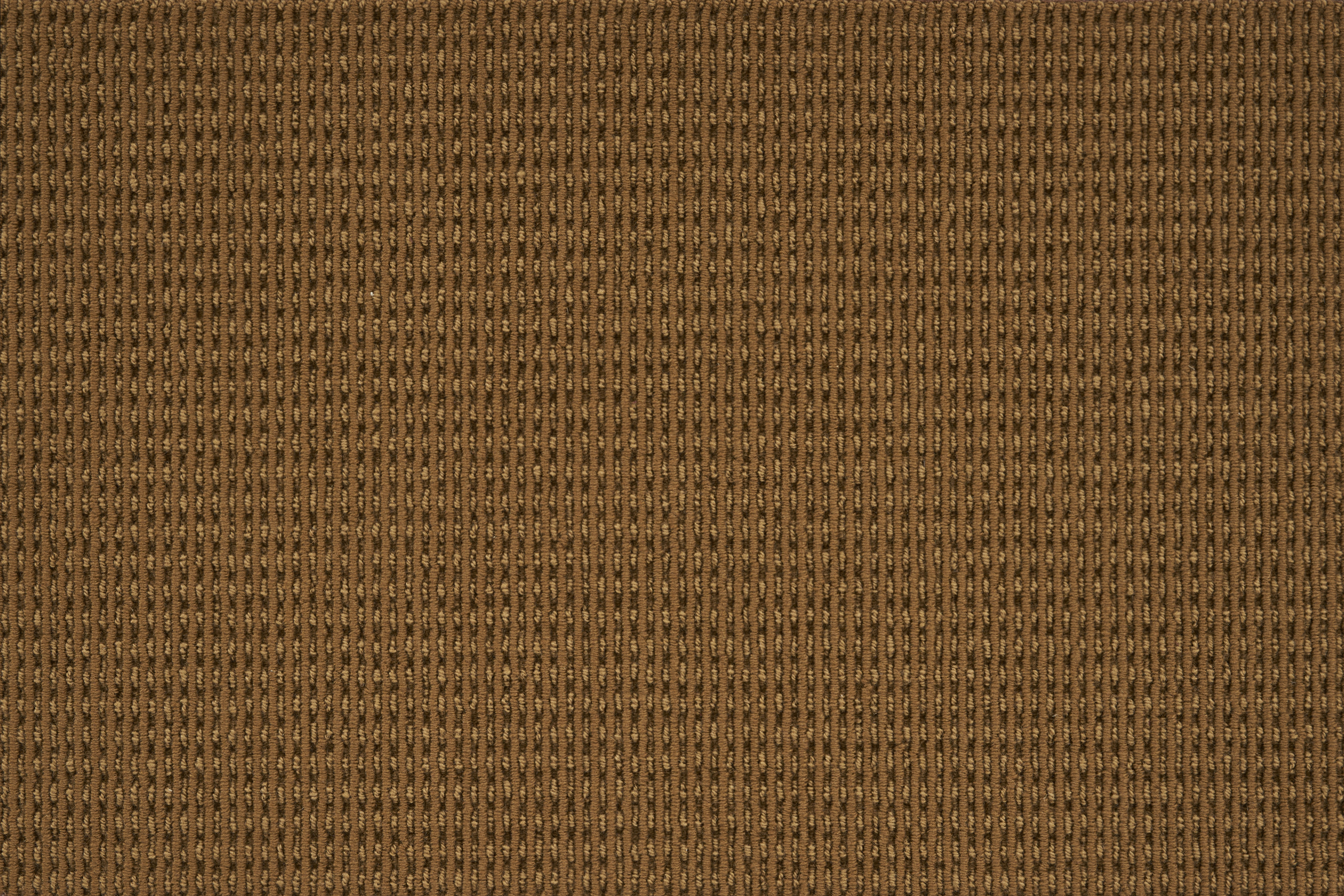 color-rug1