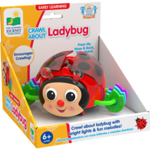 Crawl About Ladybug