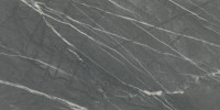 Foyer Steely 24×48 Field Tile Polished Rectified