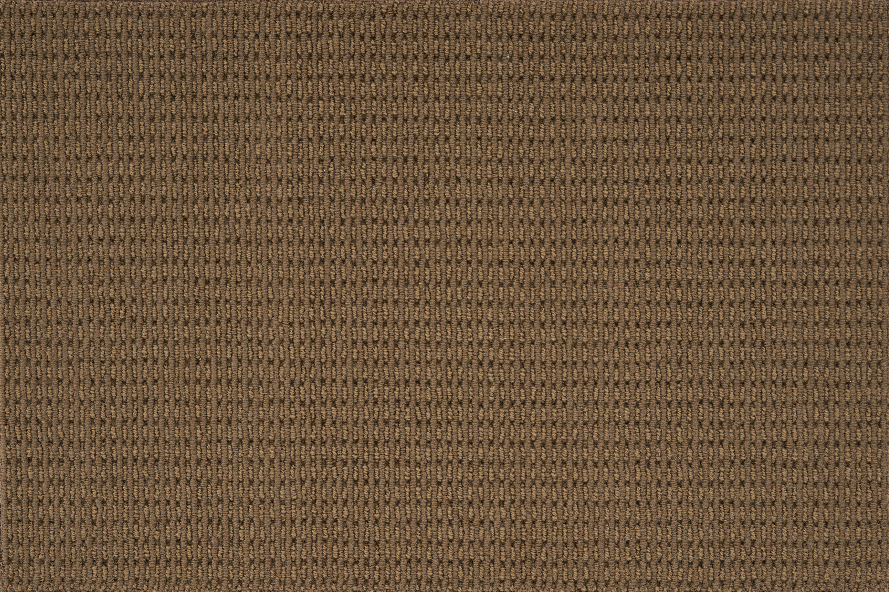color-rug1