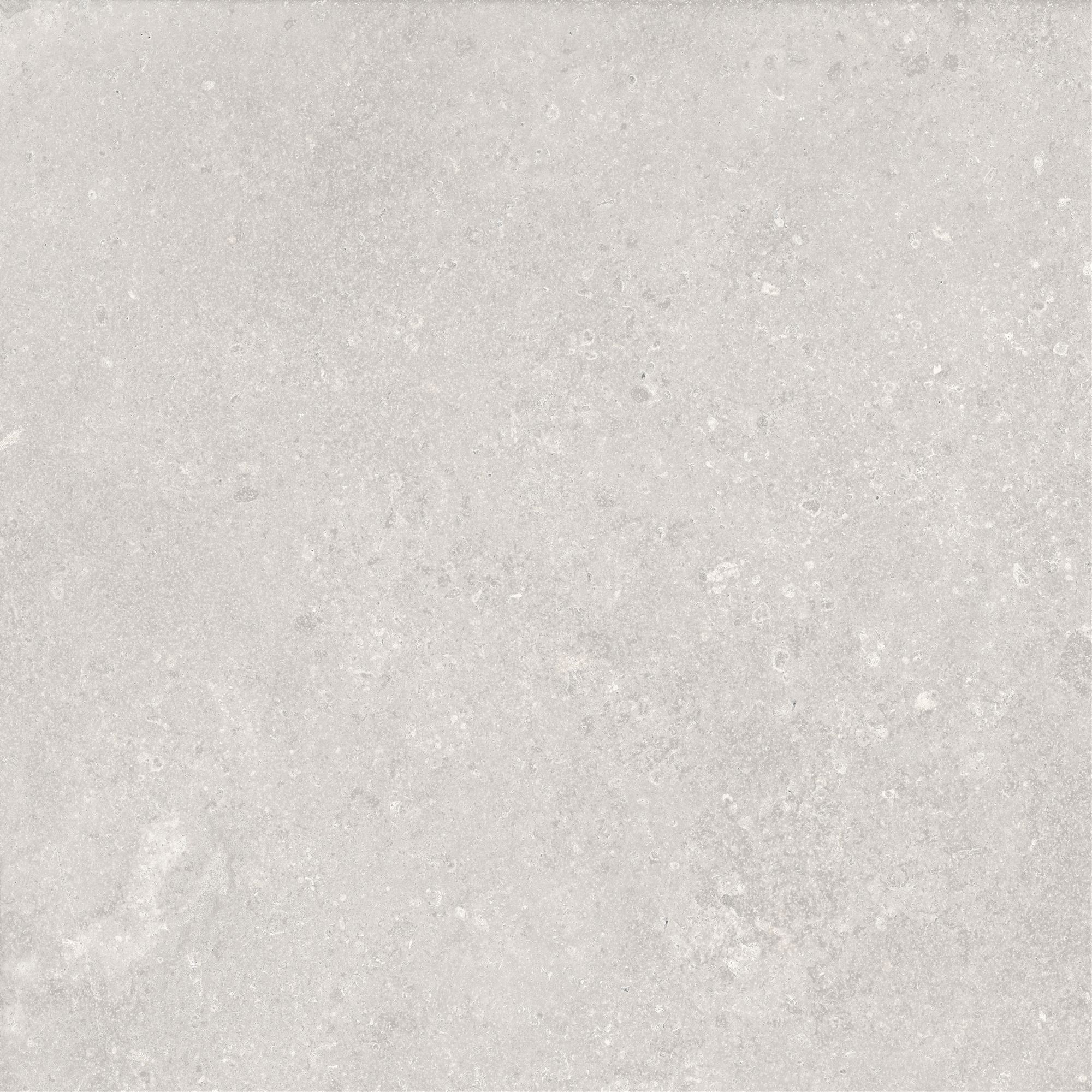 45X45 ROYALSTONE L.GREY R10B nR