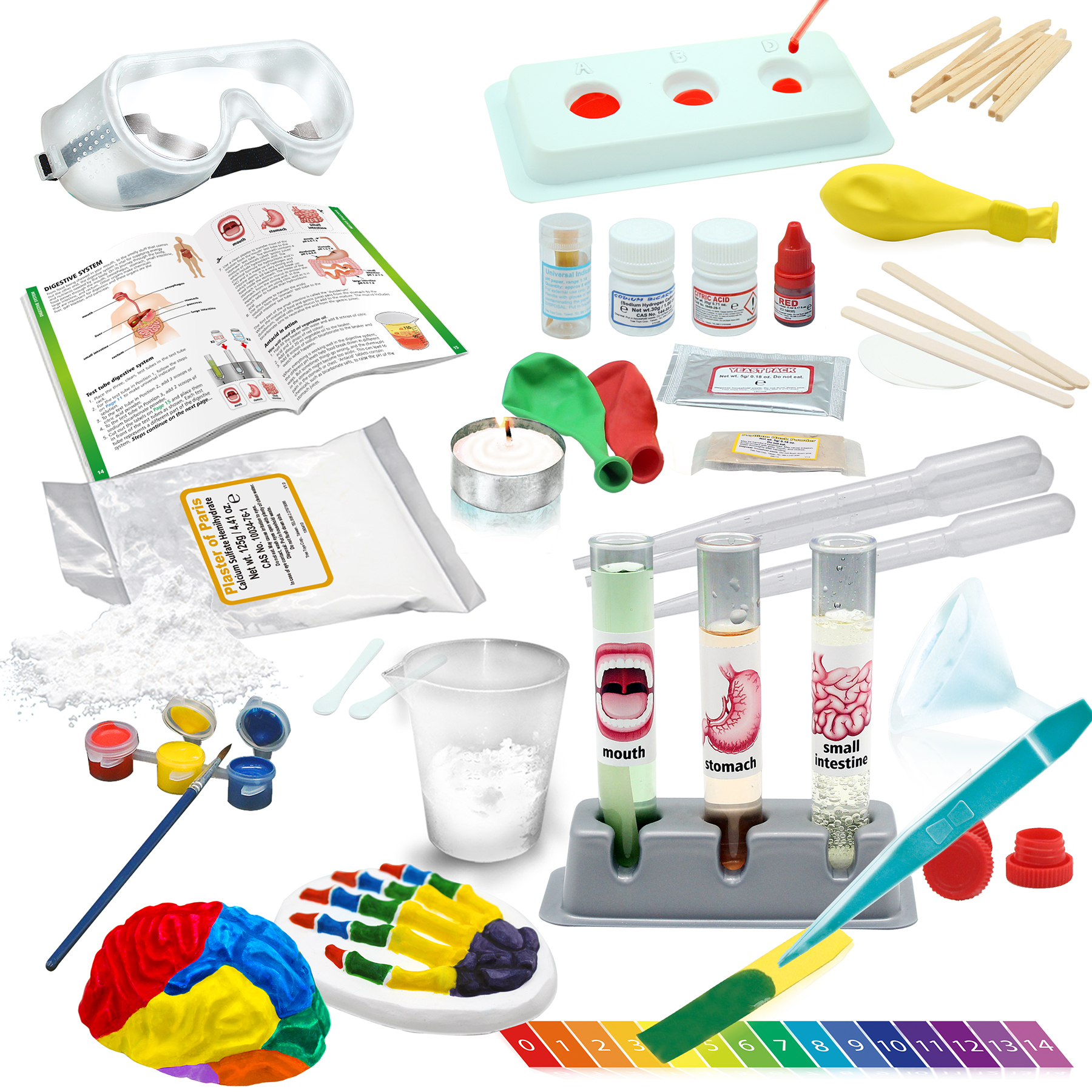 WILD ENVIRONMENTAL SCIENCE Medical Science - STEM Kit for Ages 8+ - Make a Test-Tube Digestive System, Extract DNA, Create Anatomical Models and More! image number null