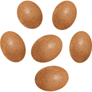 Sensory Sound Eggs