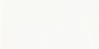 Vivid White 3×6 Field Tile Glossy