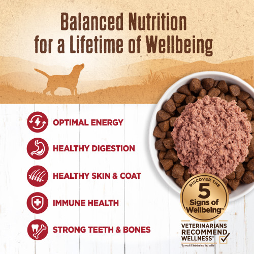 The benifts of Wellness Complete Health 95% Beef