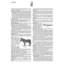 s---z6c_C1e--/a0p6painobpv5o4i3lhd.jpg