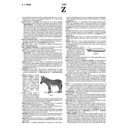 s---z6c_C1e--/a0p6painobpv5o4i3lhd.jpg