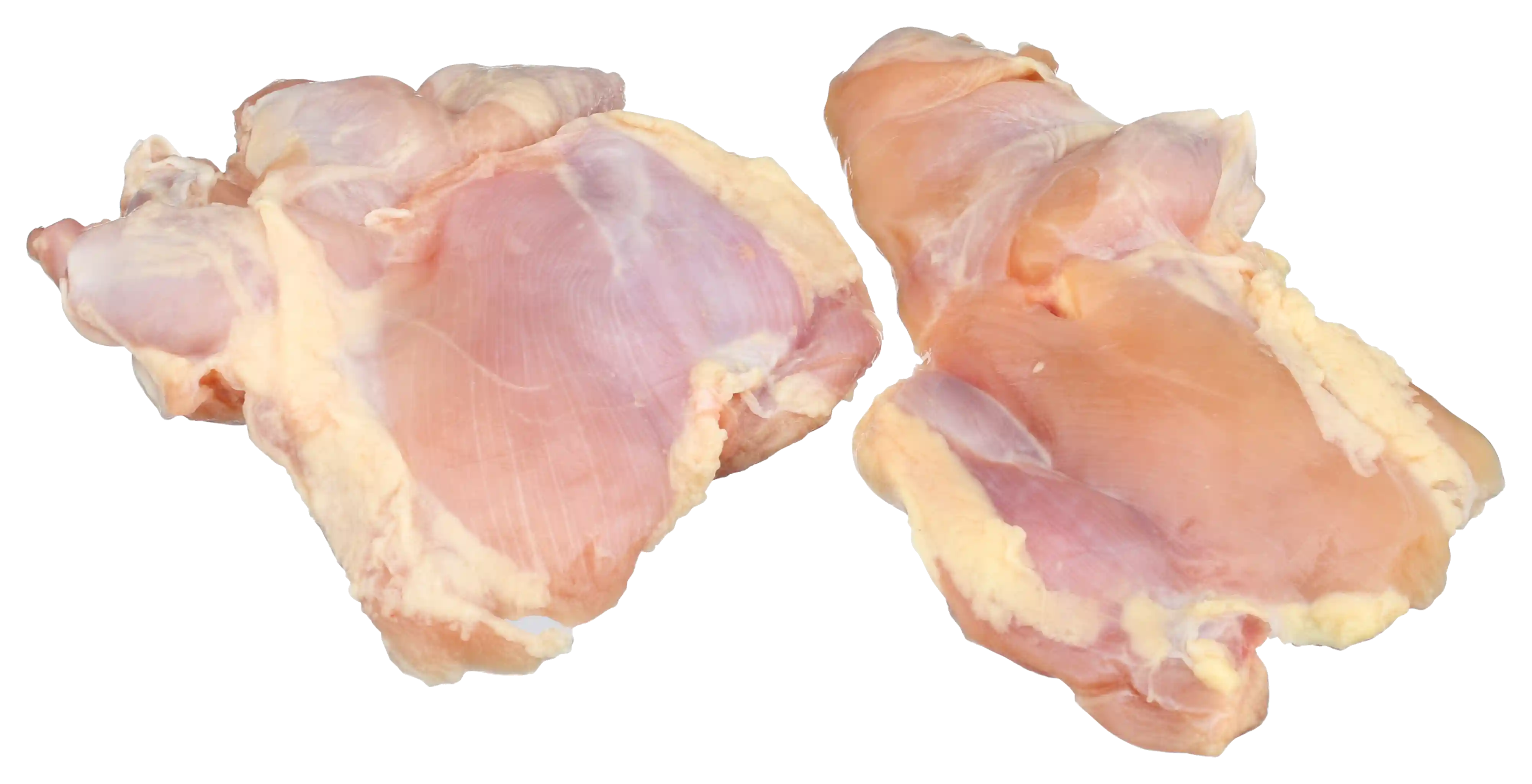 Tyson® Uncooked Boneless Skinless Chicken Leg Meat_image_01