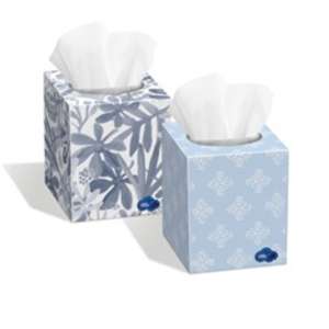 KRU08904, Kruger, White Cloud, Facial Tissue, 2 ply, White