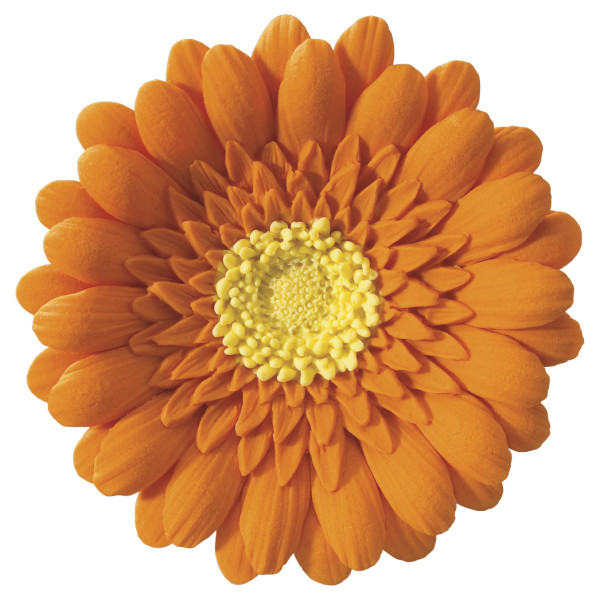 Orange Gerbera Daisy - Red 3 Free Gum Paste Flowers