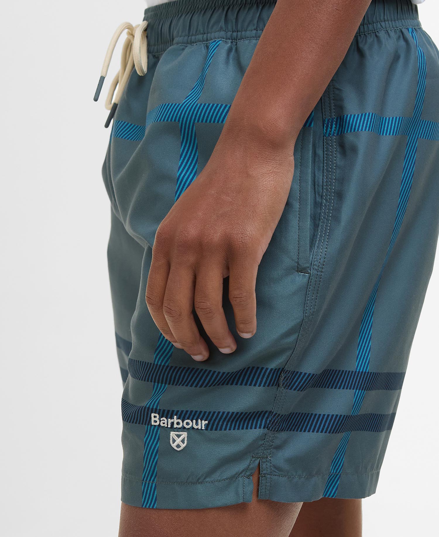 Twain Swim Shorts image number 3