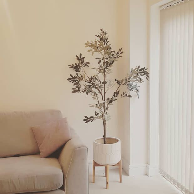Vertical blinds drawn, filtering soft daylight through slats; neutral living room with beige sofa, pink cushion and tall potted olive-like tree on a wooden stand beside the window.