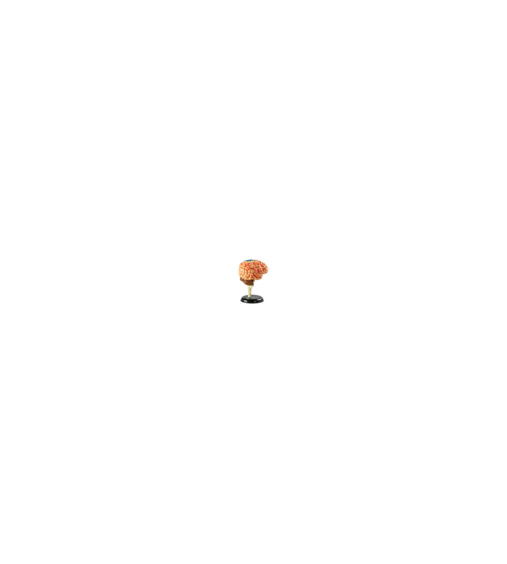 s--0KX4sNg4--/evqdbisyslb09cbxuj34.jpg