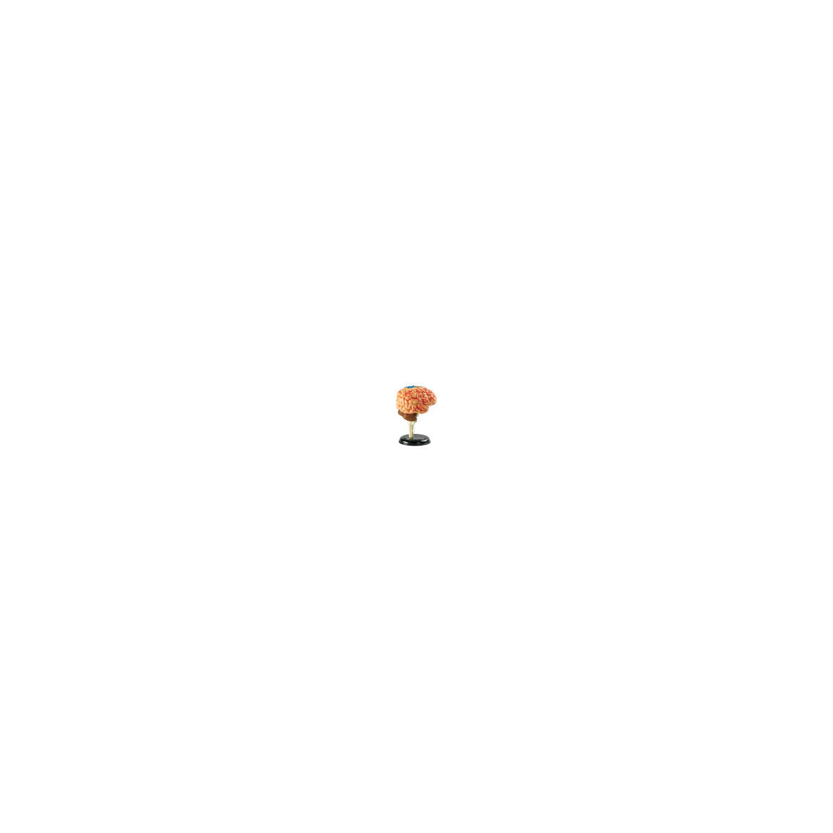 s--0KX4sNg4--/evqdbisyslb09cbxuj34.jpg
