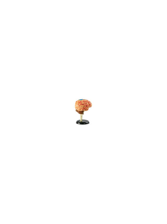 s--0KX4sNg4--/evqdbisyslb09cbxuj34.jpg