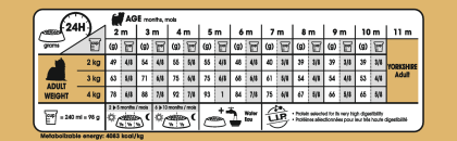 Yorkshire Terrier Puppy feeding guide