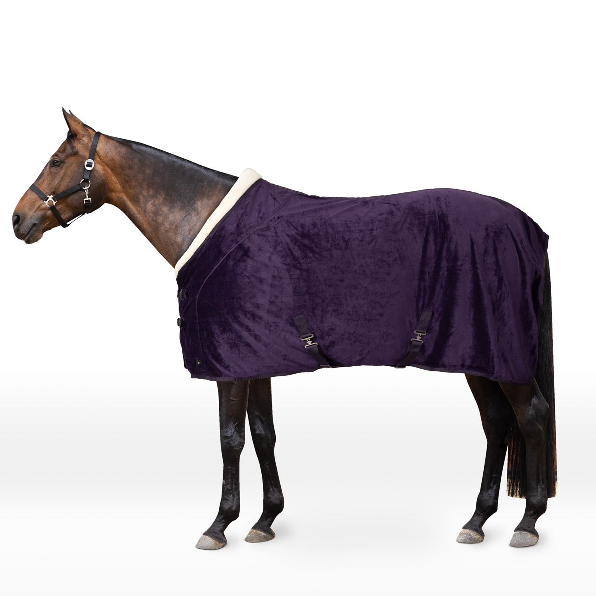 Horze Lincoln Fleece Blanket with Padded Collar