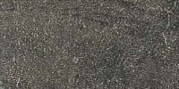 Slaty Multicolor 3×6 Field Tile Matte