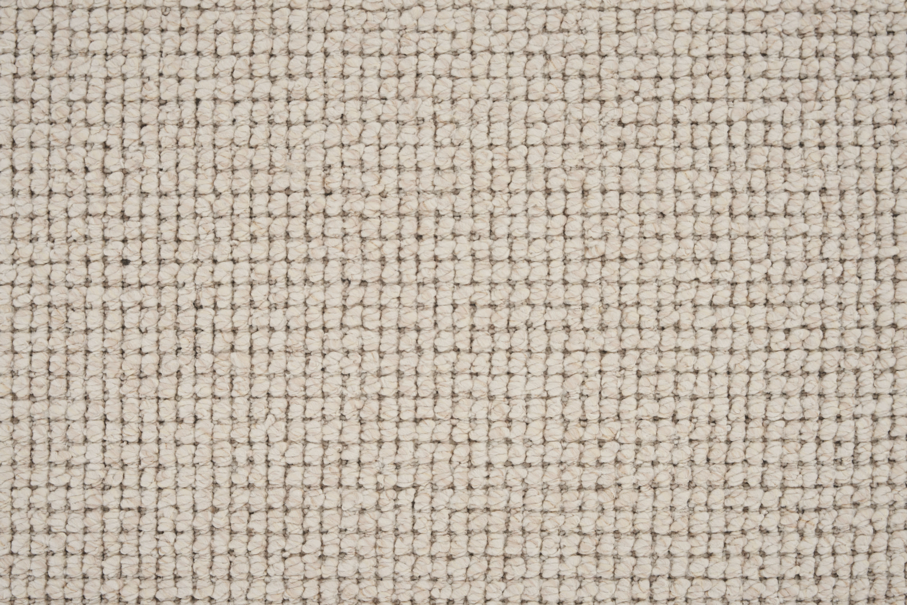 color-rug1