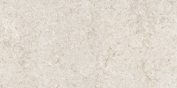 Sensi White Fossil 16×32 Field Tile R+PTV Rectified