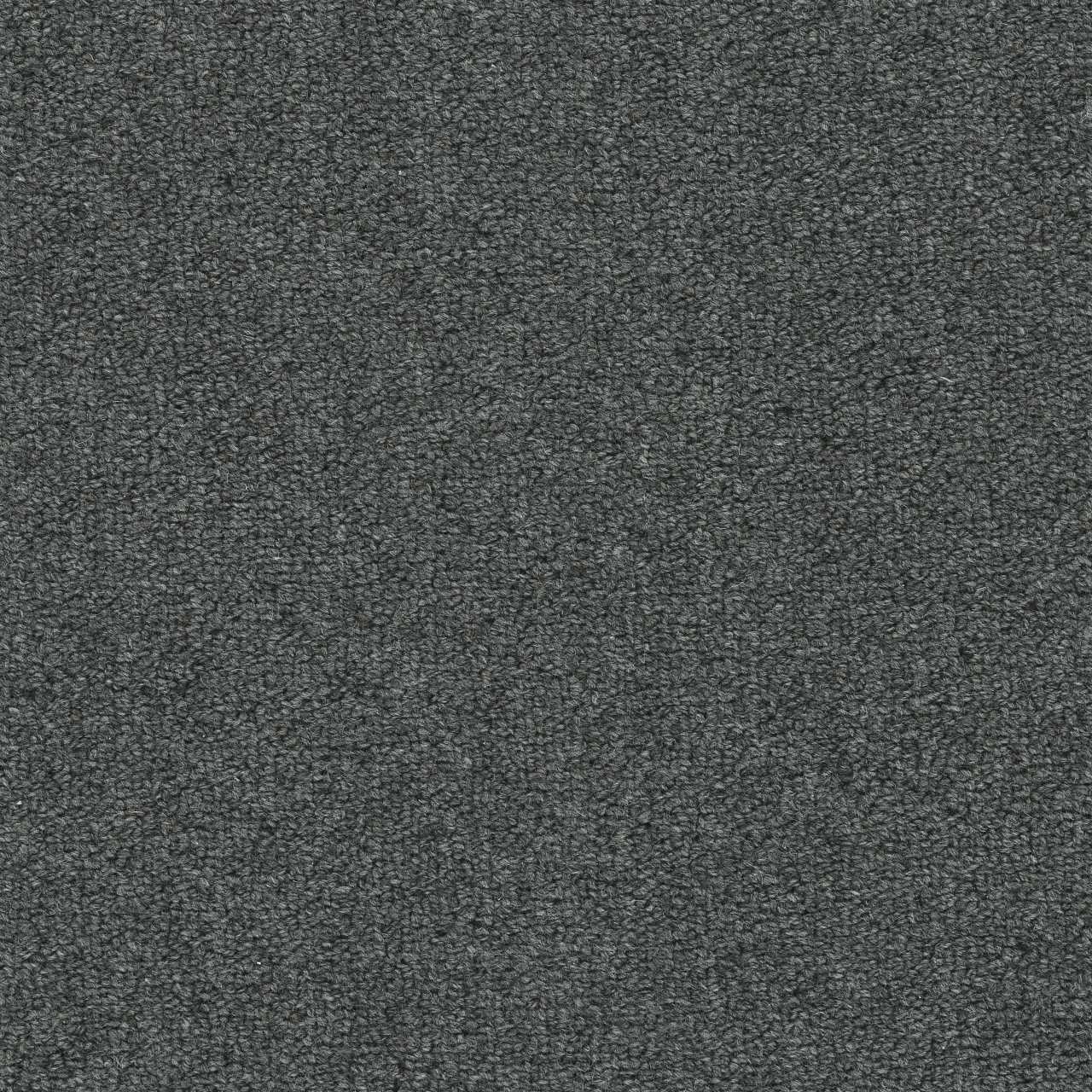 color-rug1