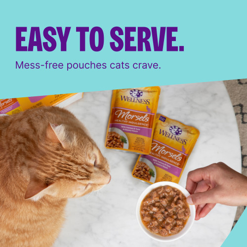The benefits of Wellness Complete Health Healthy Indulgence Morsels with Salmon & Tuna in Savory Sauce
