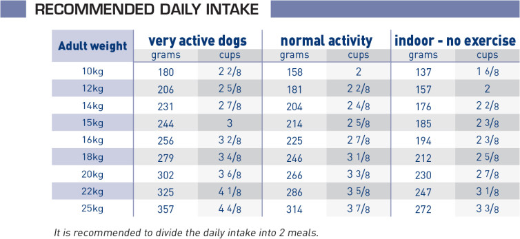 Adult Medium - Entire Dogs - Dog Food - ROYAL CANIN®