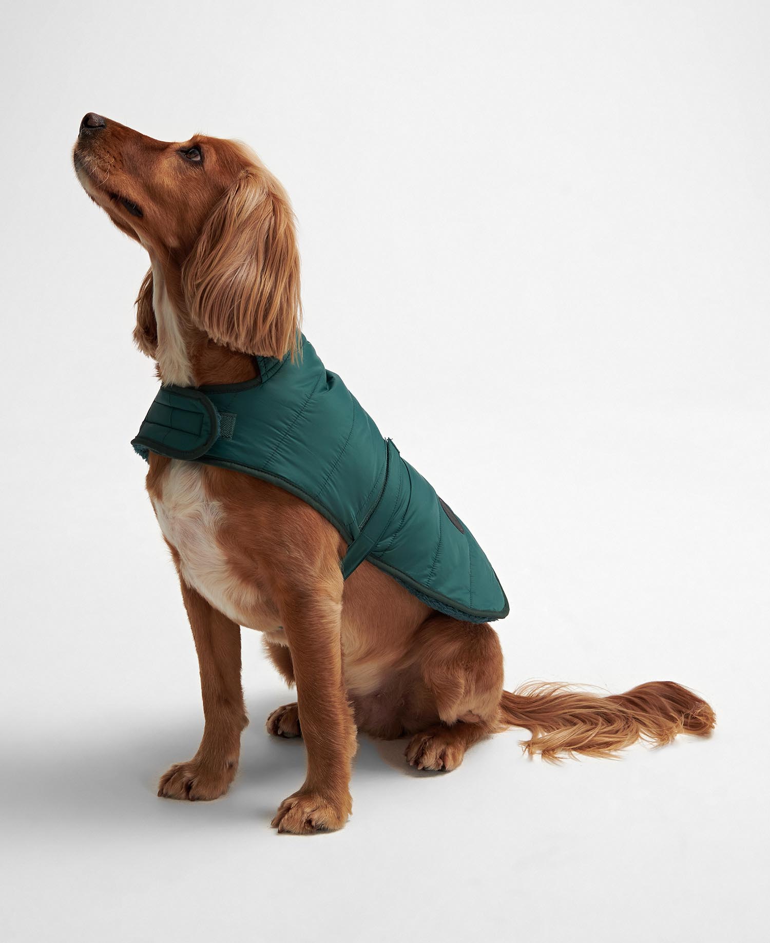 Baffle Quilted Dog Coat image number 1