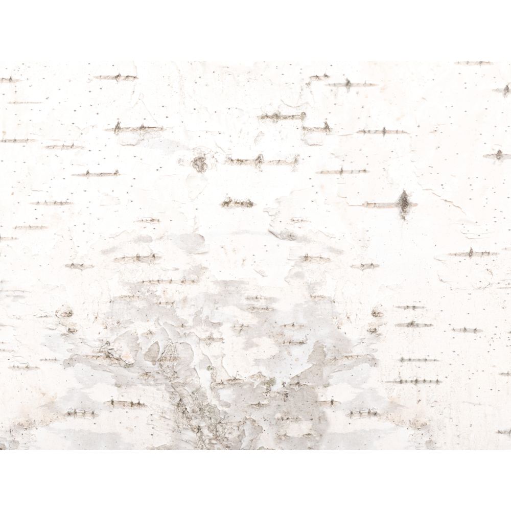 Image Cake Birch Bark Sheets