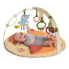 Simply Bright Starts™ Fox & Friends Activity Gym