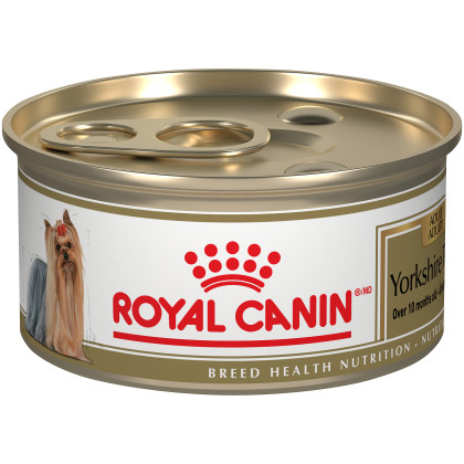 Royal Canin Breed Health Nutrition Yorkshire Terrier Loaf In Sauce Dog Food