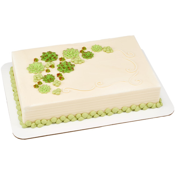 Succulents Sweet Décor® Edible Decorations