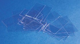 Erie Scientific Cover Glass, 24 x 60 mm