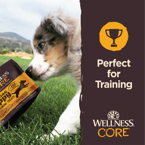 The benifts of Wellness CORE Brainiac Puppy Treats Beef & Turkey
