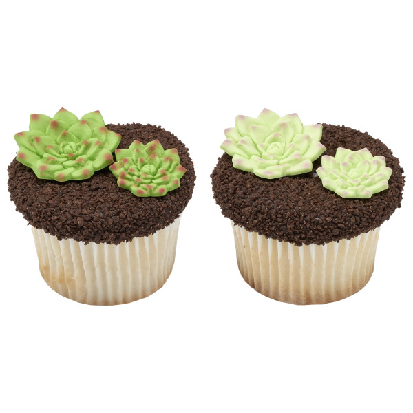 Succulents Sweet Décor® Edible Decorations
