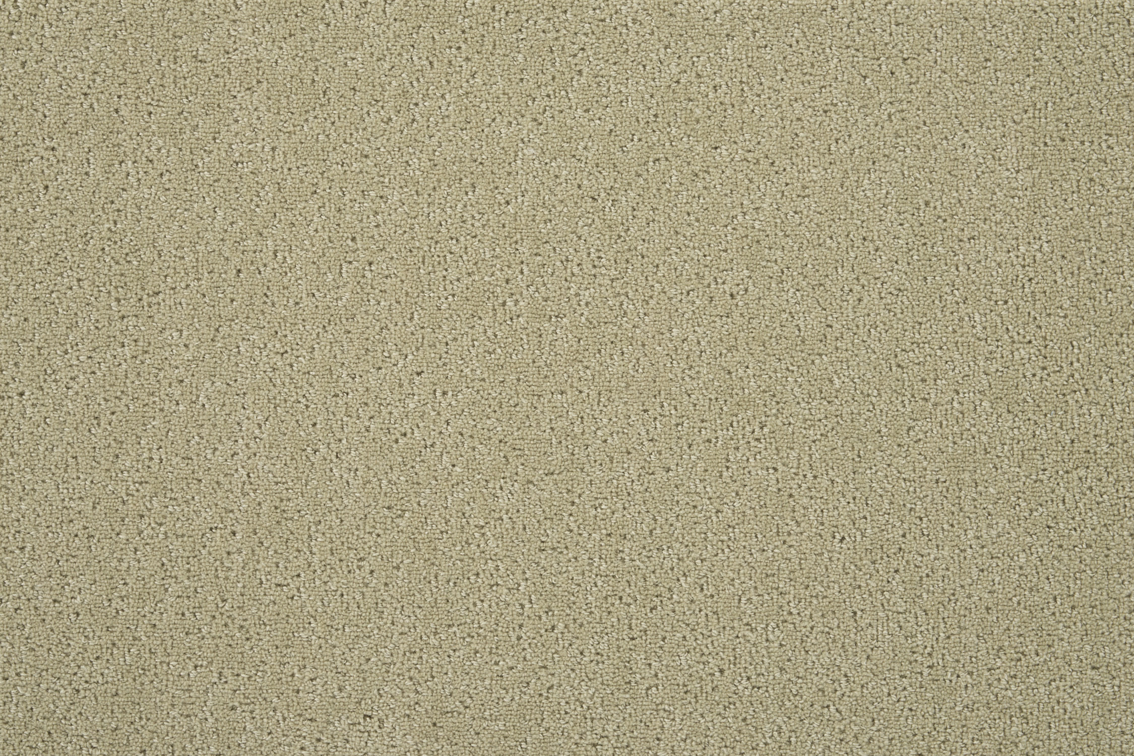 color-rug1