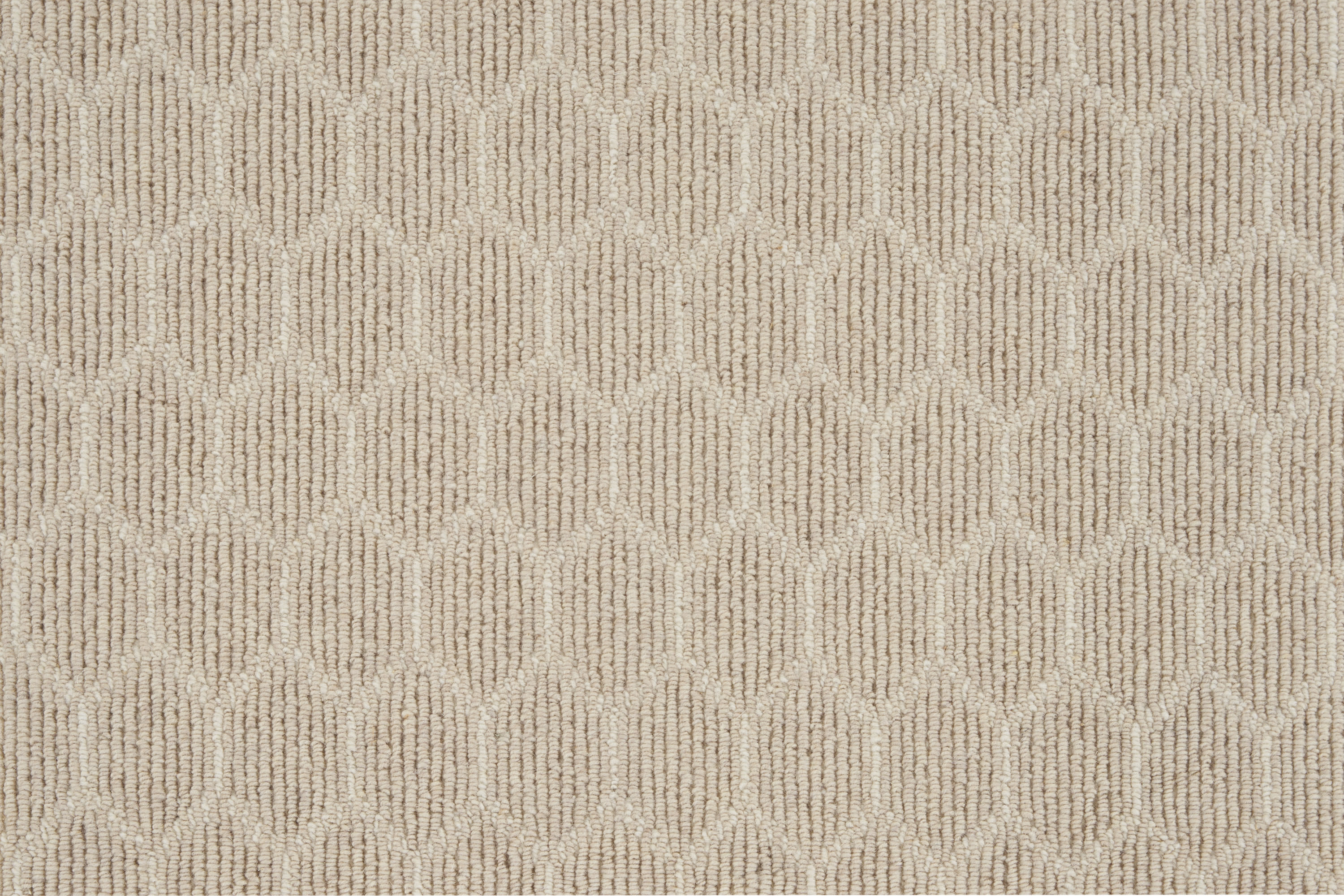 color-rug1